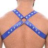 Sparta's Harness Harnais Sparta's Bleu